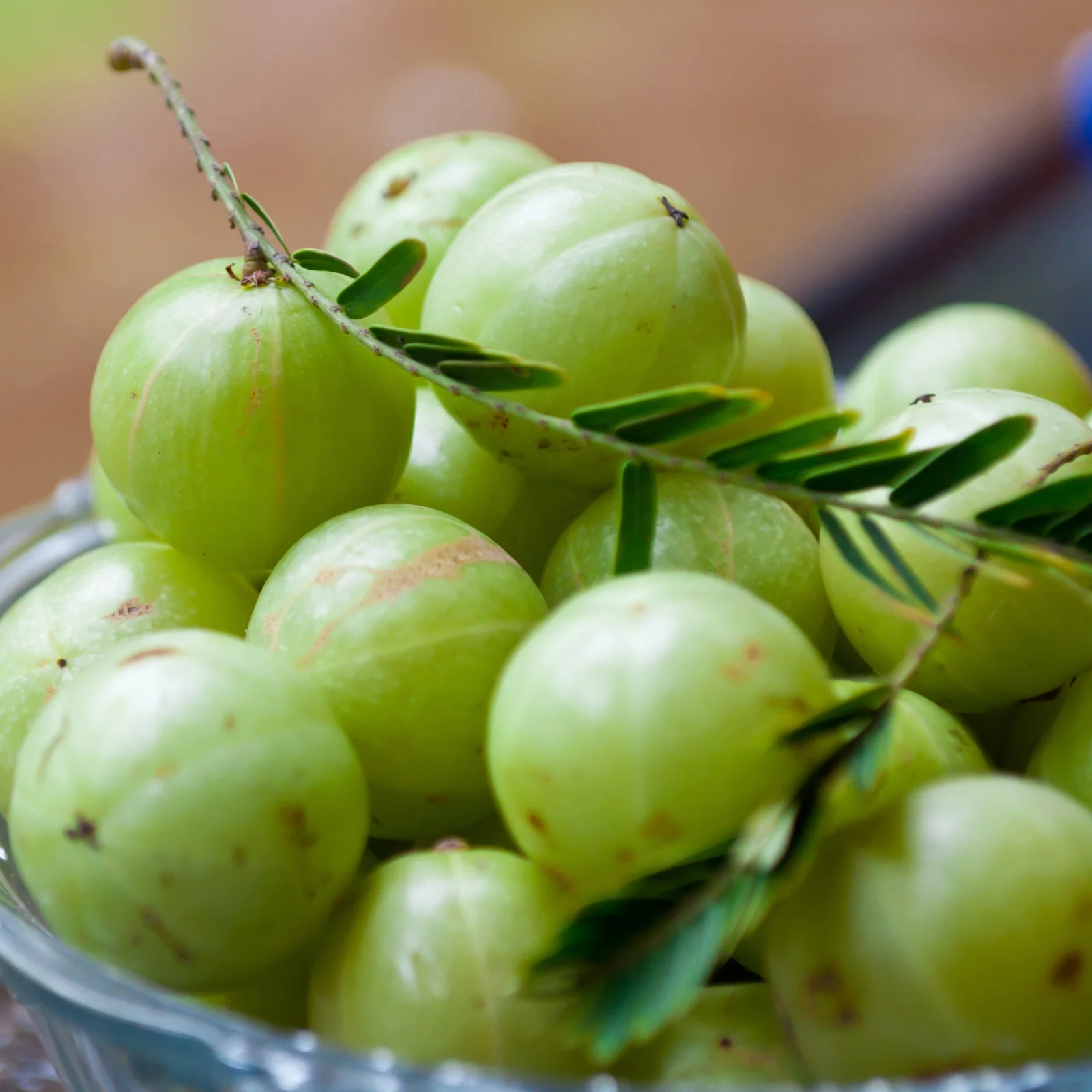 Amla por - bio - 125g - Image 3